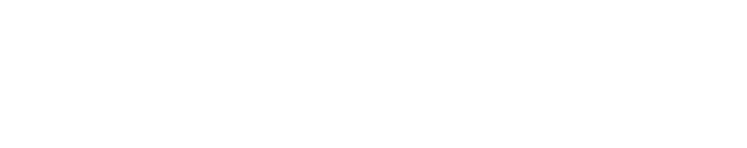 Secondary Logo (White)